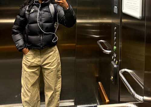 North face nuptse 700 black - north,