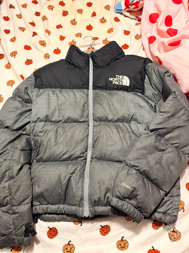 The north face 1996 retro - the,