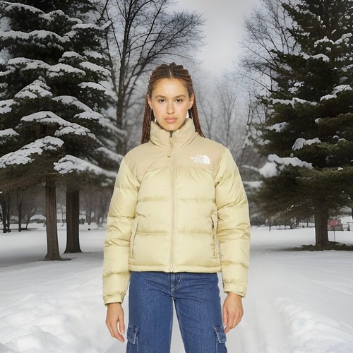 The north face 1996 retro - north,