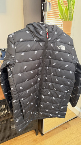 The north face 1996 retro - the,
