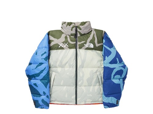 Kaws the north face retro - x,